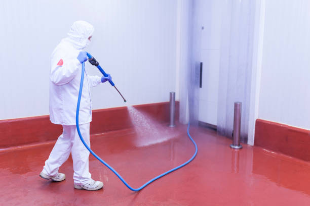 Best Post-Construction Pressure Washing  in Mclendon Chisholm, TX